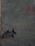 CIMG2354-113x150.jpg